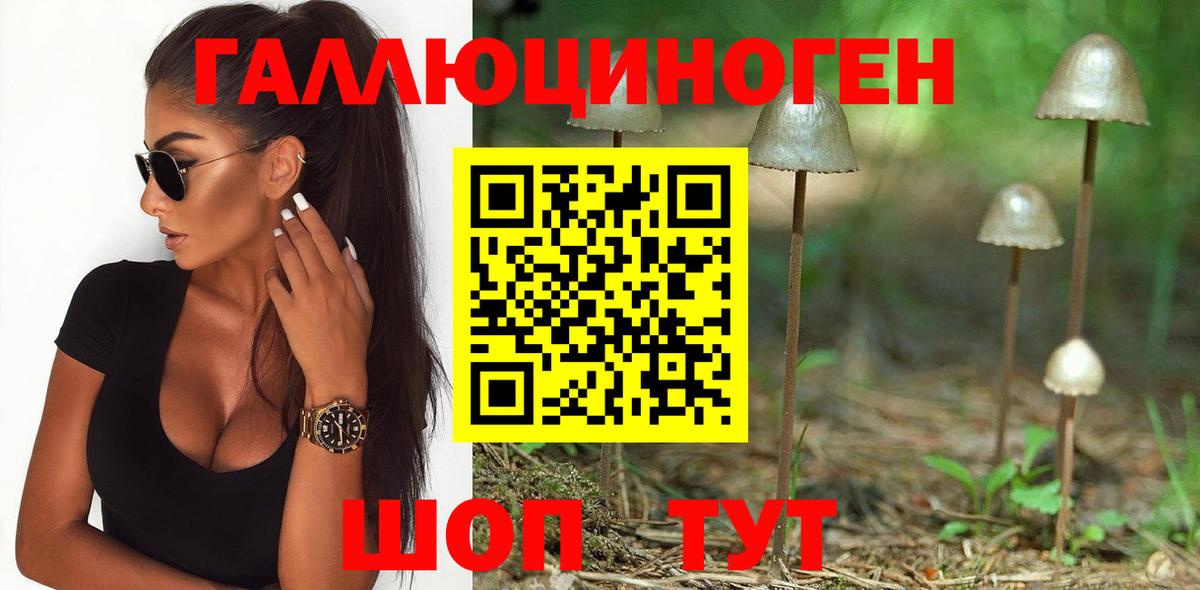 Галлюциногенные грибы ЛСД Тула